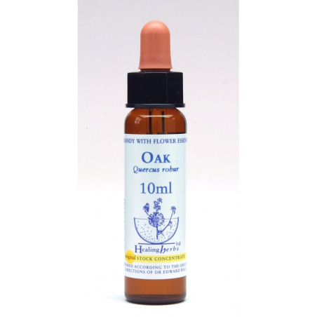 Ίαμα Oak 10ml - Healing Herbs