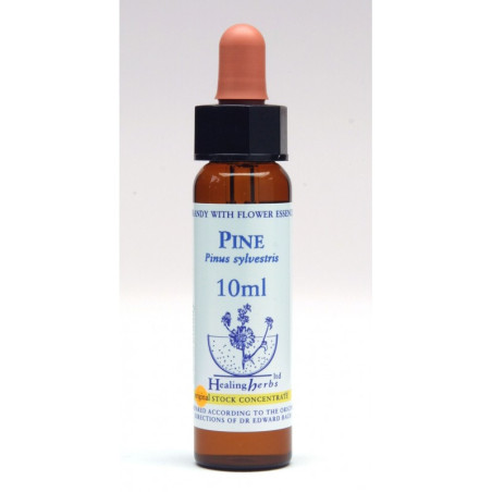 Ίαμα Pine 10ml - Healing Herbs