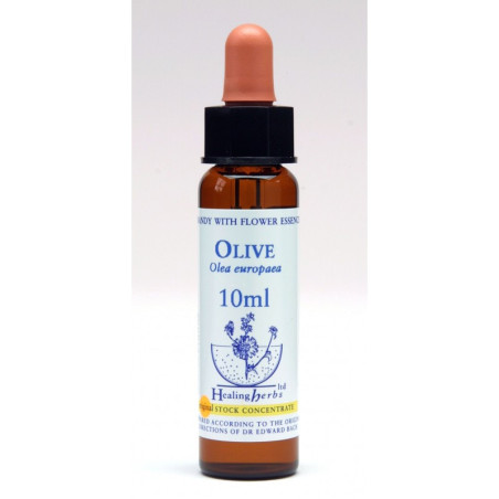 Ίαμα Olive 10ml - Healing...