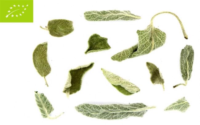 Φασκόμηλο, Salvia officinalis, bio 40 gr - Ο ΔΡΟΜΟΣ ΤΟΥ ΤΣΑΓΙΟΥ