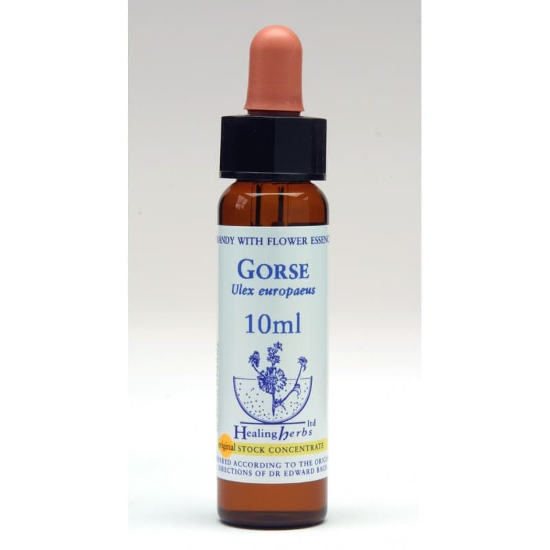 Ίαμα Gorse 10ml - Healing Herbs