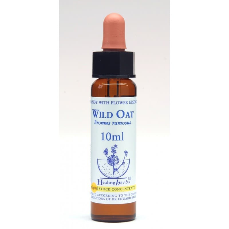 Ίαμα Wild Oat 10ml - Healing Herbs