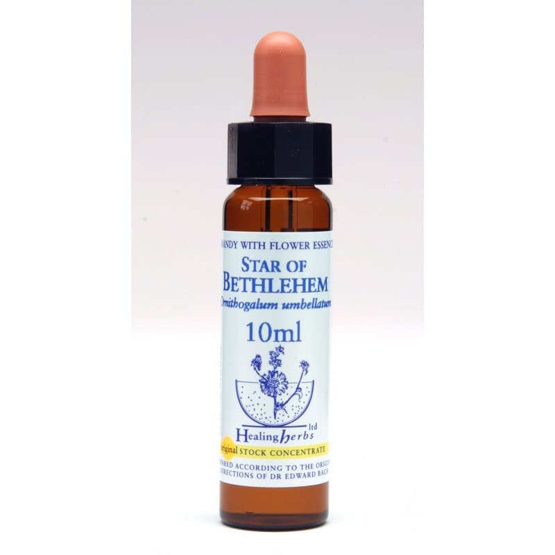 Ίαμα Star of Bethlehem 10ml - Healing Herbs