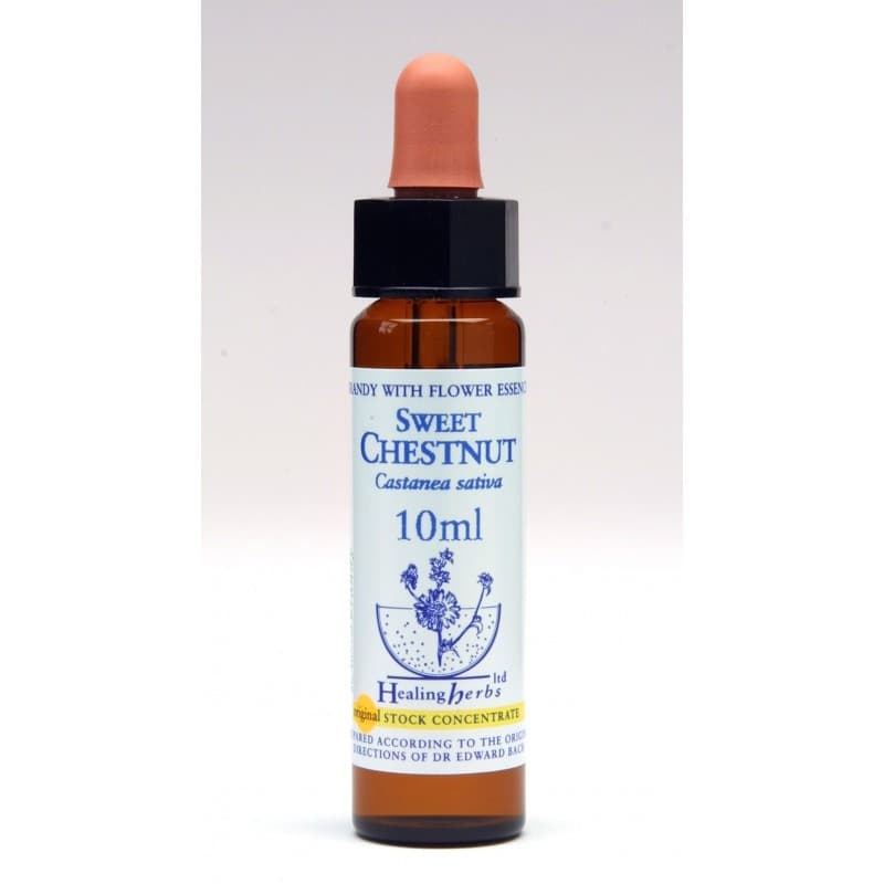 Ίαμα Sweet Chestnut 10ml - Healing Herbs