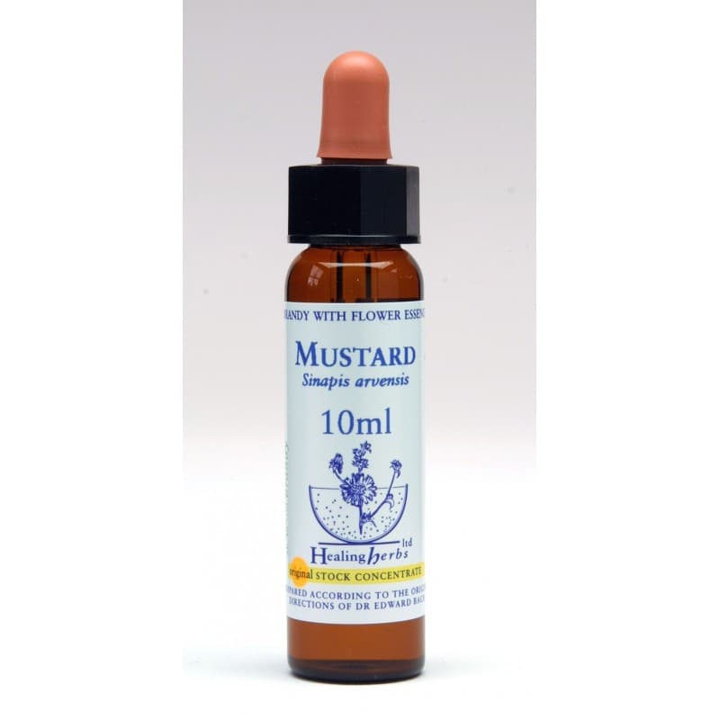 Ίαμα Mustard 10ml - Healing Herbs - Image 1