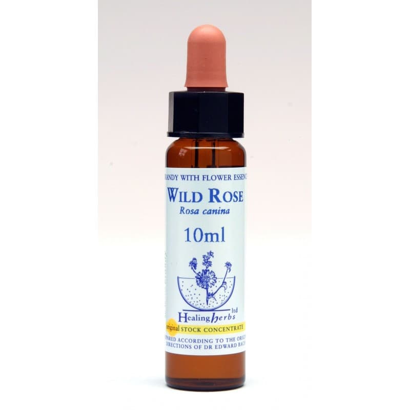 Ίαμα Wild Rose 10ml - Healing Herbs