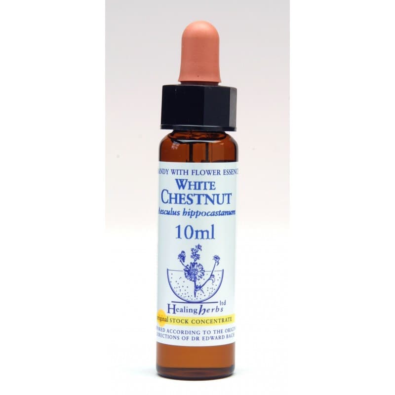 Ίαμα White Chestnut 10ml - Healing Herbs - Image 1
