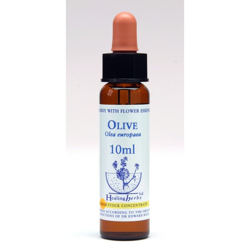 Ίαμα Olive 10ml - Healing Herbs - Image 1