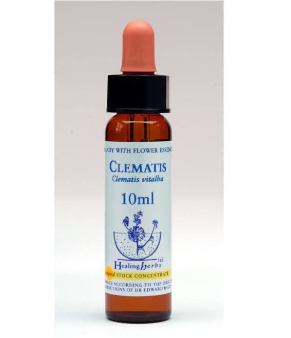 Ίαμα Clematis 10ml - Healing Herbs - Image 1