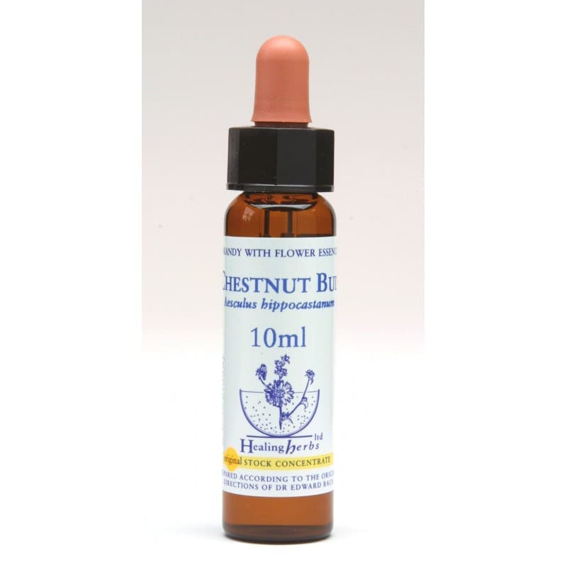 Ίαμα Chestnut Bud 10ml - Healing Herbs - Image 1