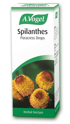 Spilanthes 50ml - A.Vogel