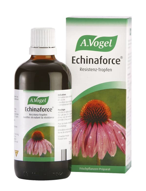 Echinaforce Drops 50ml - A.Vogel - Image 1