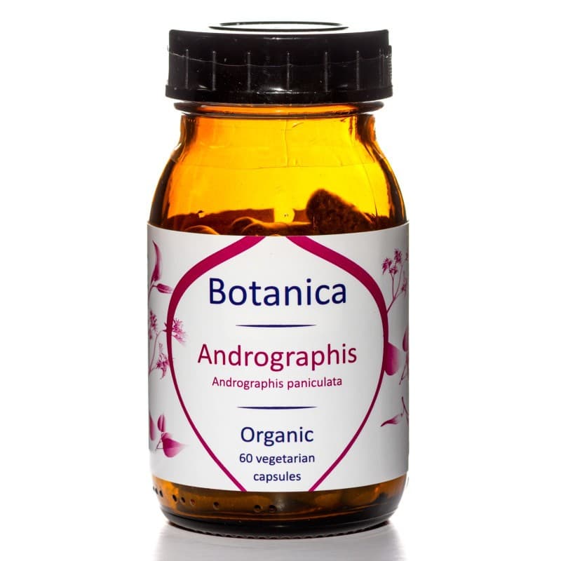 Βιολογική Ανδρογραφίδα - Organic Andrographis 500mg, 60caps - Botanica - Image 1
