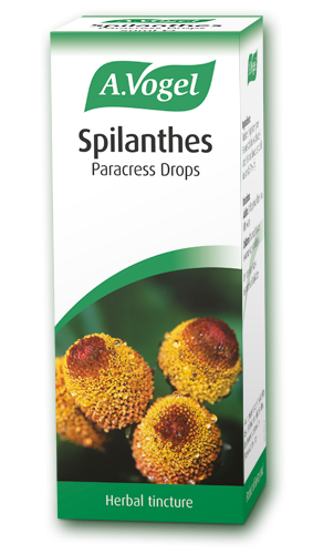 Spilanthes 50ml - A.Vogel
